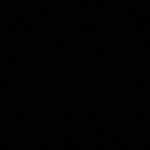 Meet your Posher, Jade